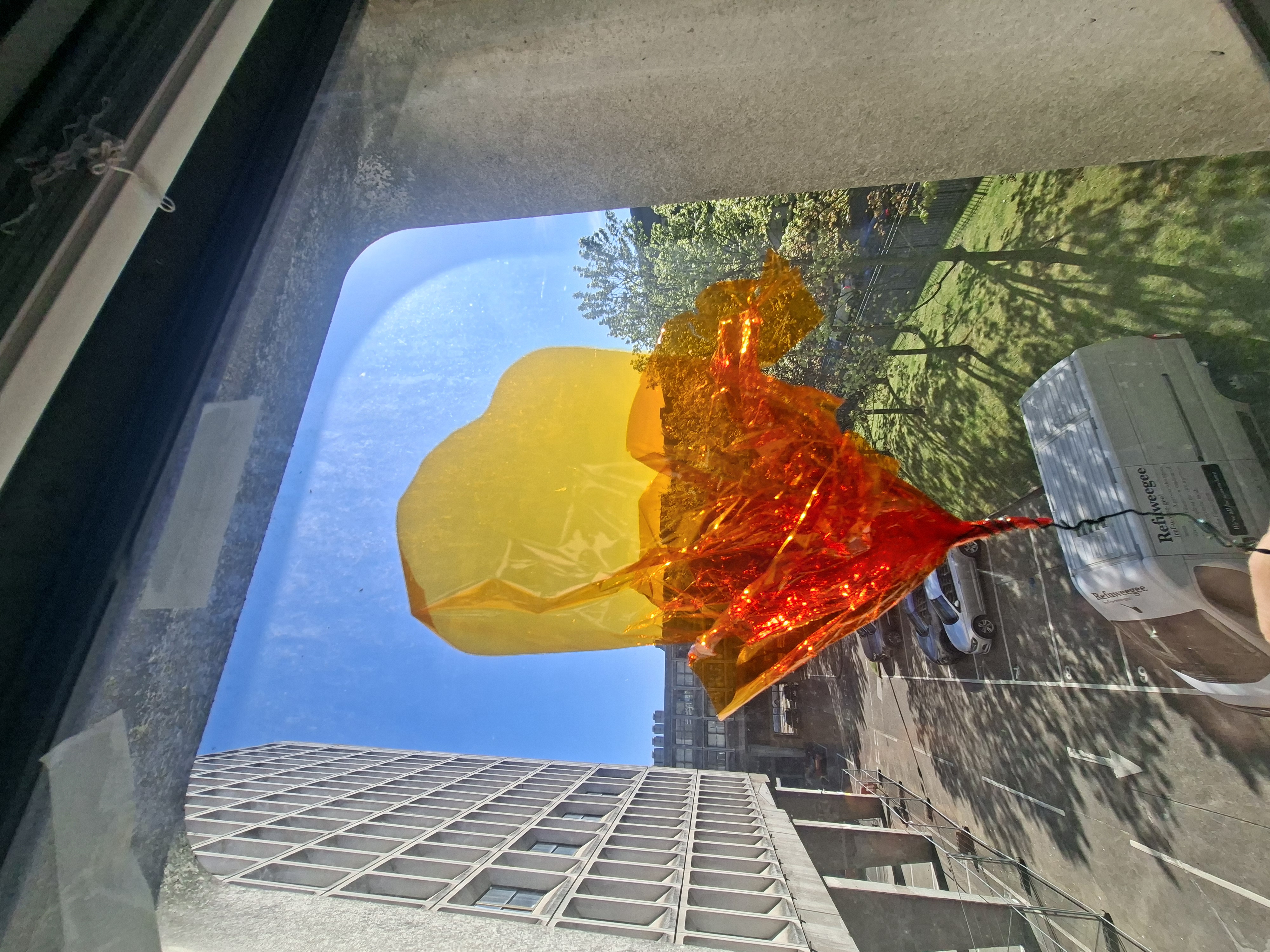 Close view of a translucent artificial flower in an urban street context.